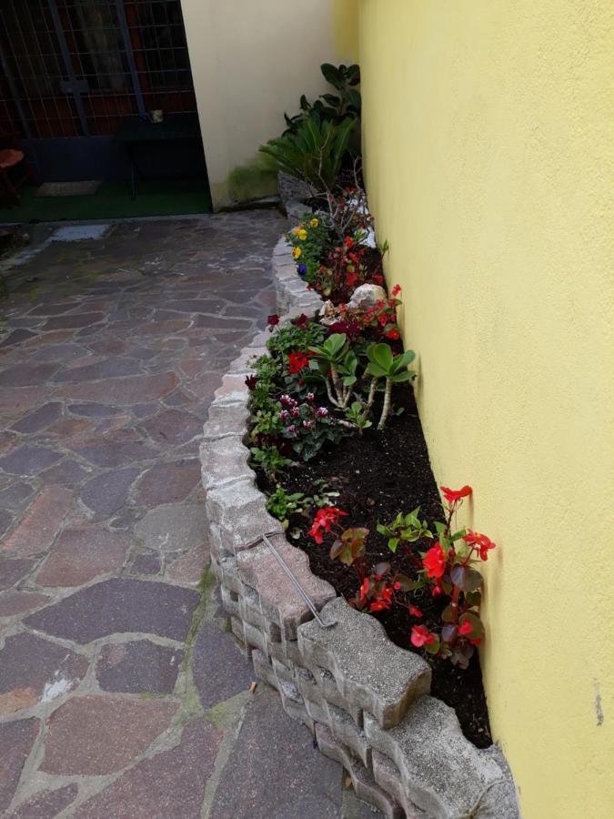 Flowery House Apartman Róma Kültér fotó